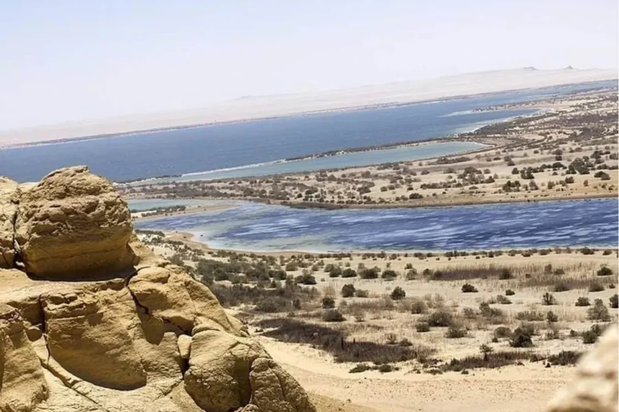 Overnight Trip to Fayoum Oasis